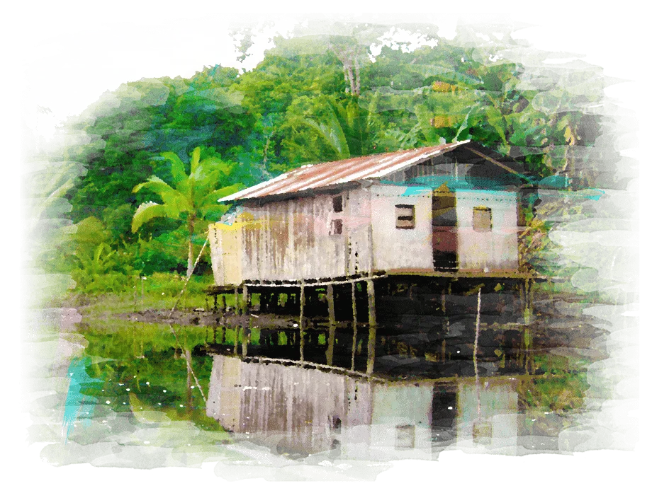 gourmet tumaco fino cocoa cover