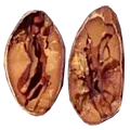 trinitario seed
