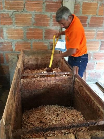 fermentation protocol