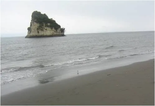 Tumaco Fino history