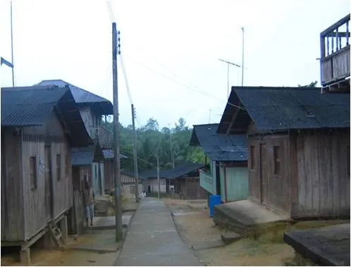 Tumaco Fino history