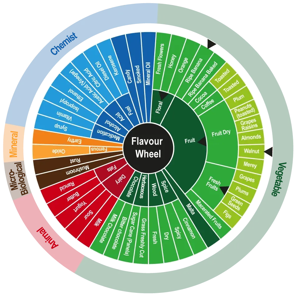 Cocoa Flavor Wheel
