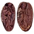 trinitario seed